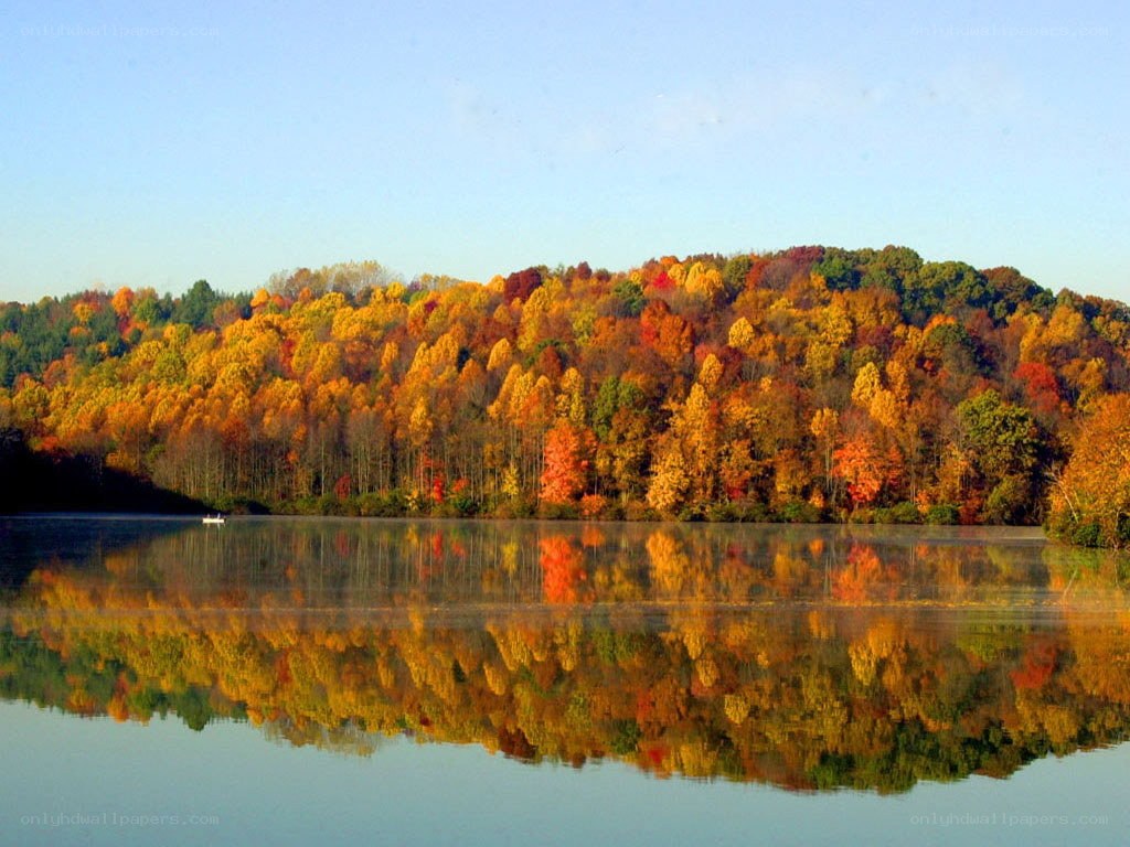 Autumn forest reflected in lake