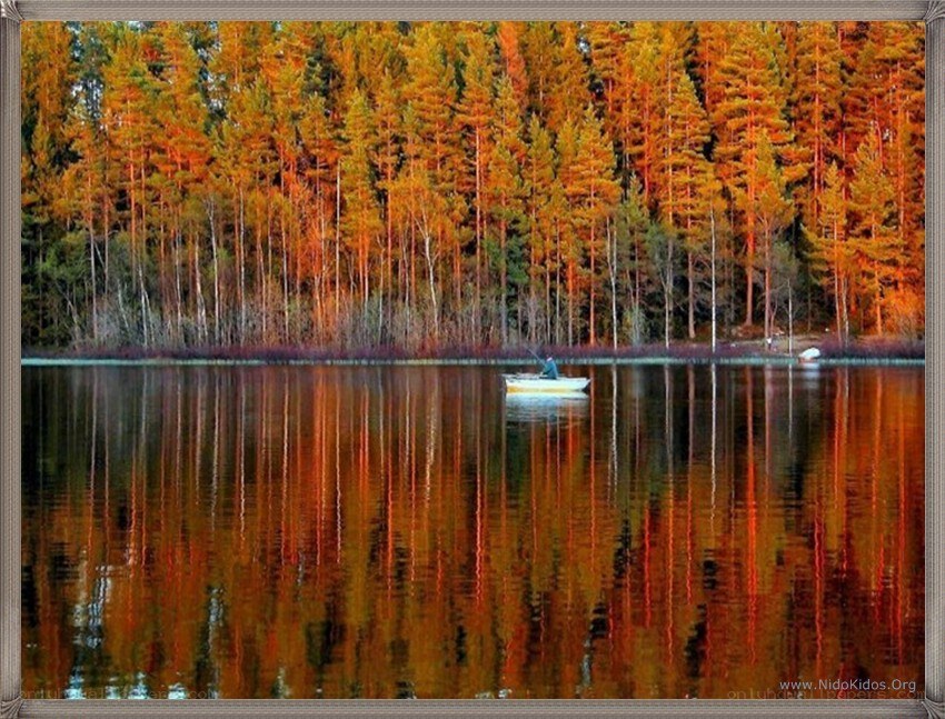 Autumn forest reflected in lake