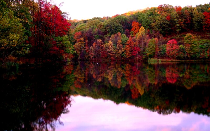 Autumn forest reflected in lake