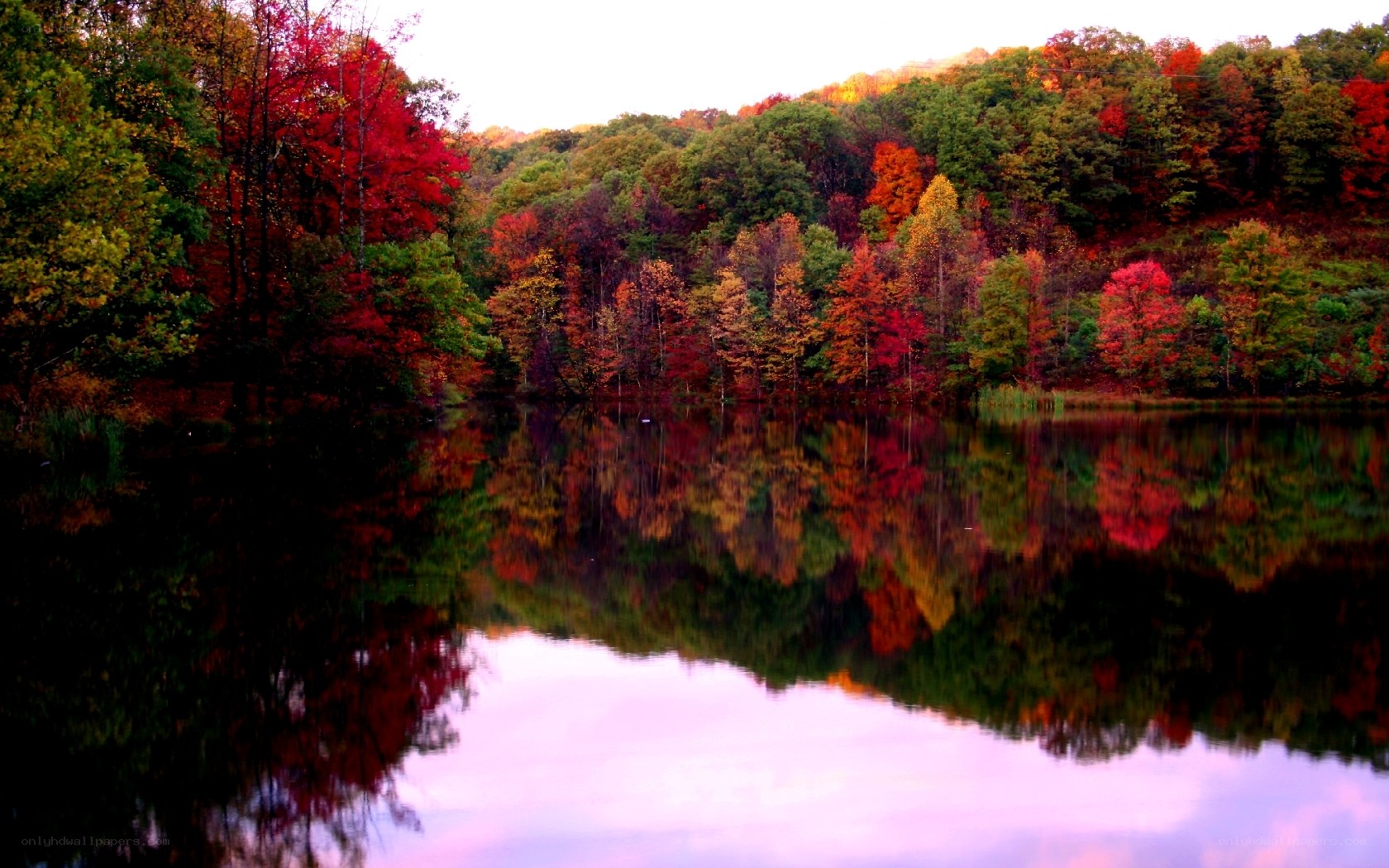 Autumn forest reflected in lake