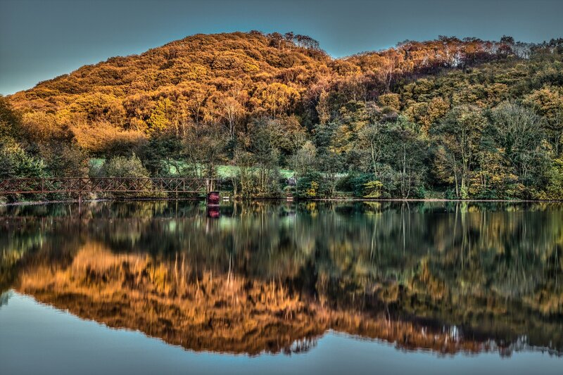 Autumn Forest Reflected in Lake — Orange, Serene, Photograph