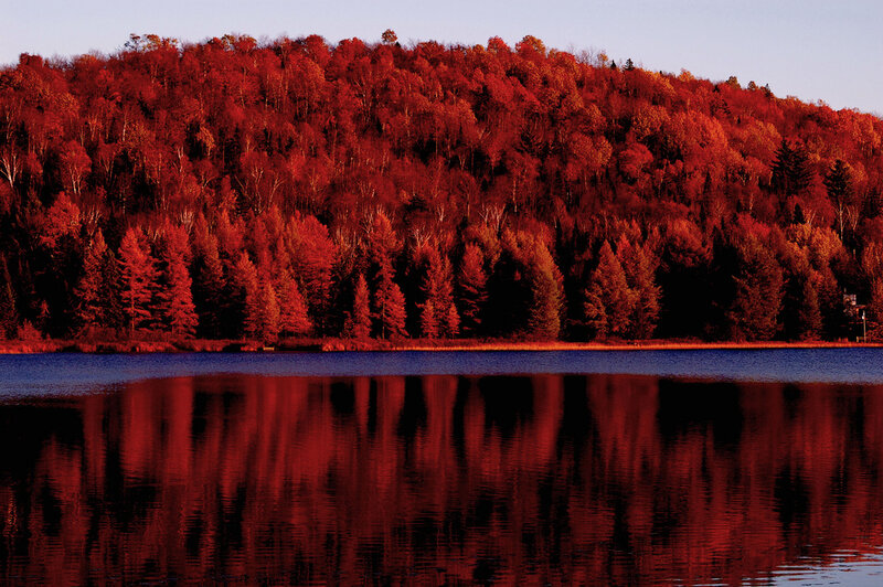 Autumn Forest Reflected in Lake — Red