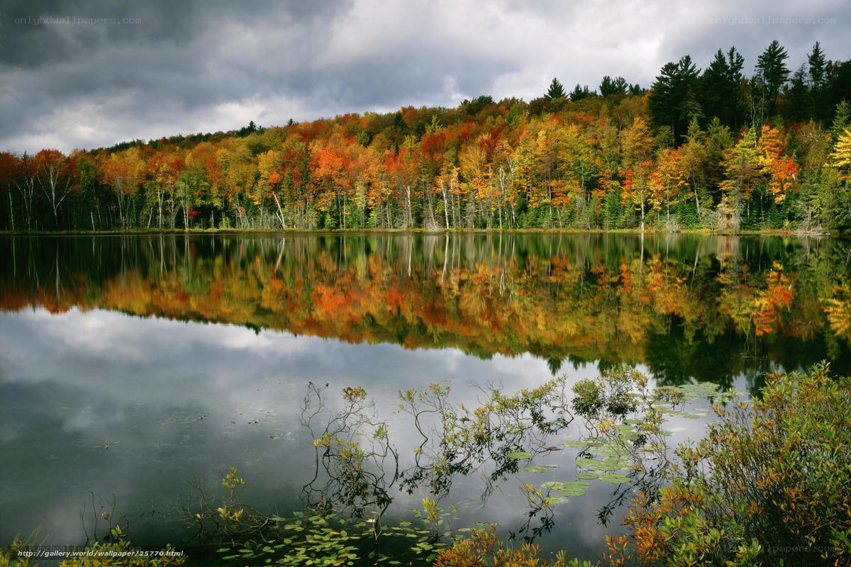 Autumn forest reflected in lake