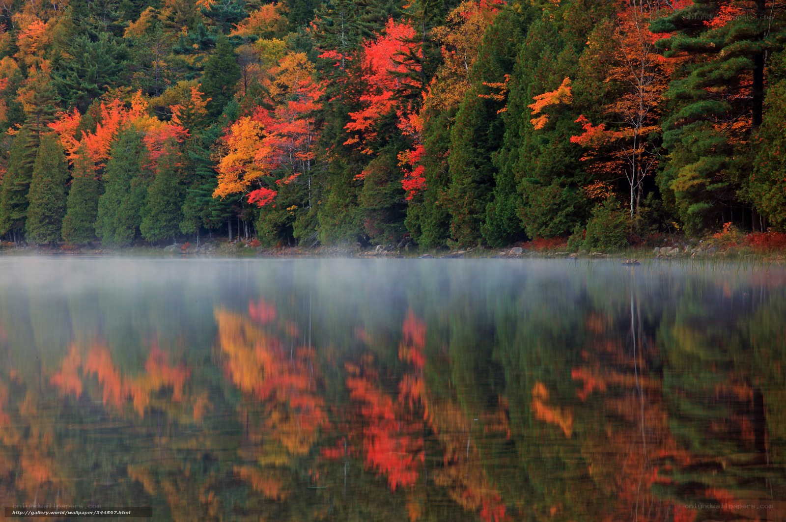 Autumn forest reflected in misty lake