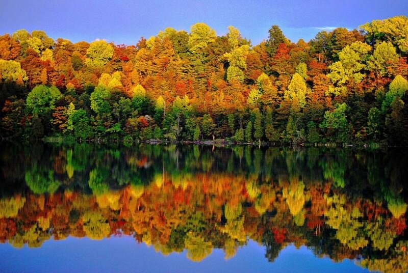 Autumn Forest Reflection — Blue, Serene, Photograph