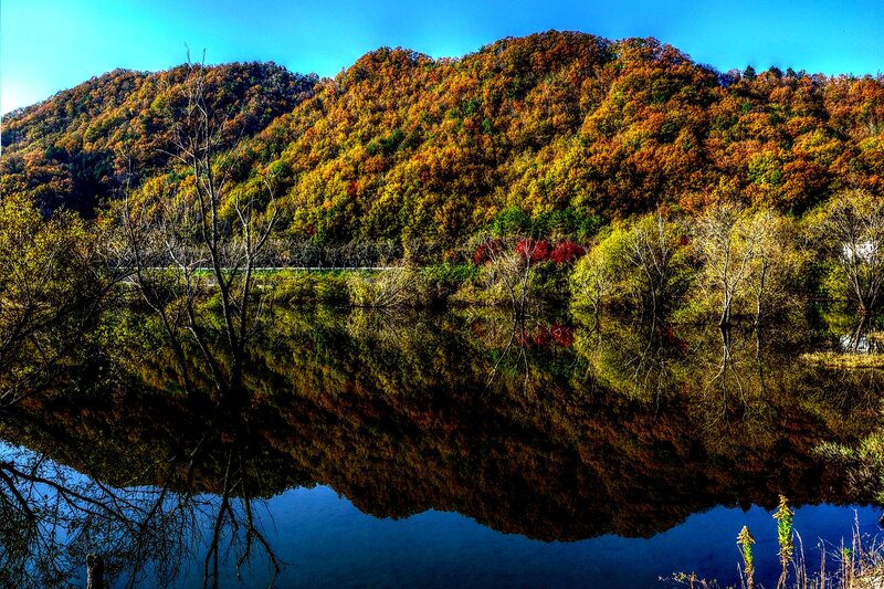 Autumn Forest Reflection — Blue, Serene, Photograph, Trees