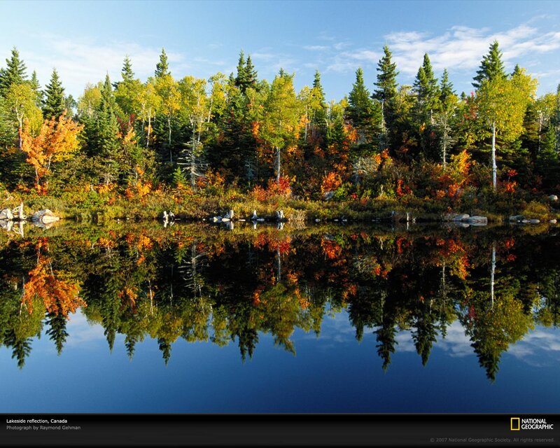 Autumn Forest Reflection — Blue