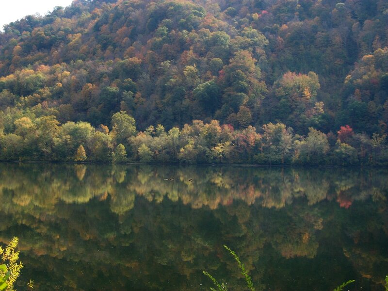 Autumn Forest Reflection