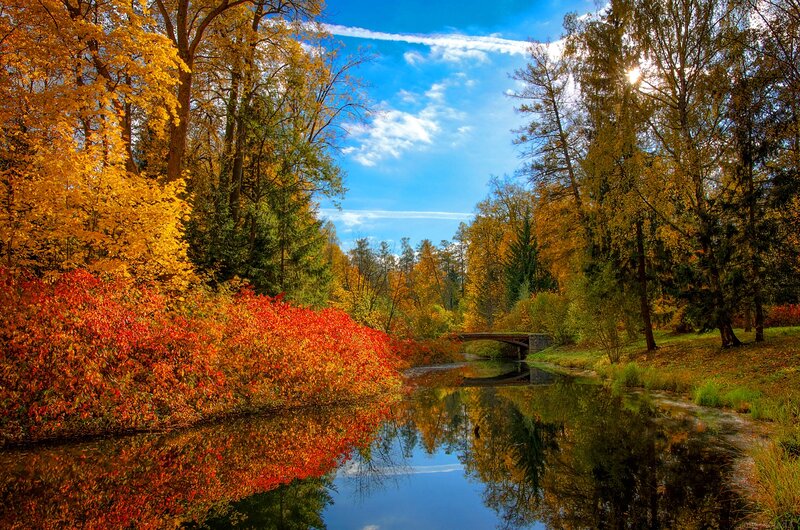 Autumn Forest River — Blue, Serene