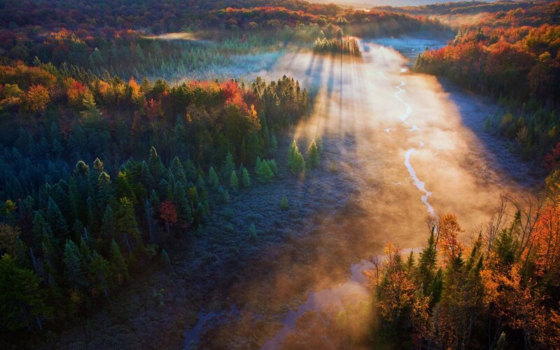 Autumn Forest River — Green, Serene, Morning