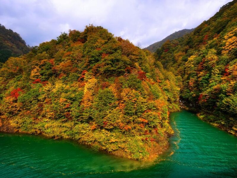 Autumn Forest River — Green, Serene, Photograph, Mountain