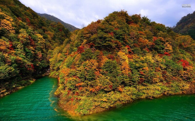 Autumn Forest River — Green, Serene, Photograph, Mountain, Trees