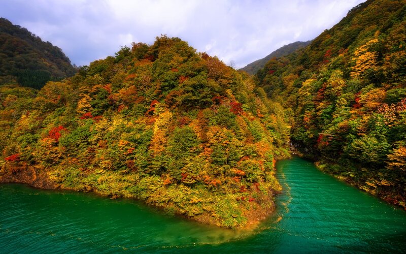Autumn Forest River — Green, Serene, Photograph