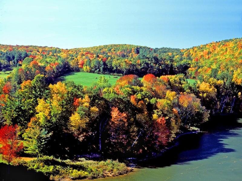 Autumn Forest River — Green