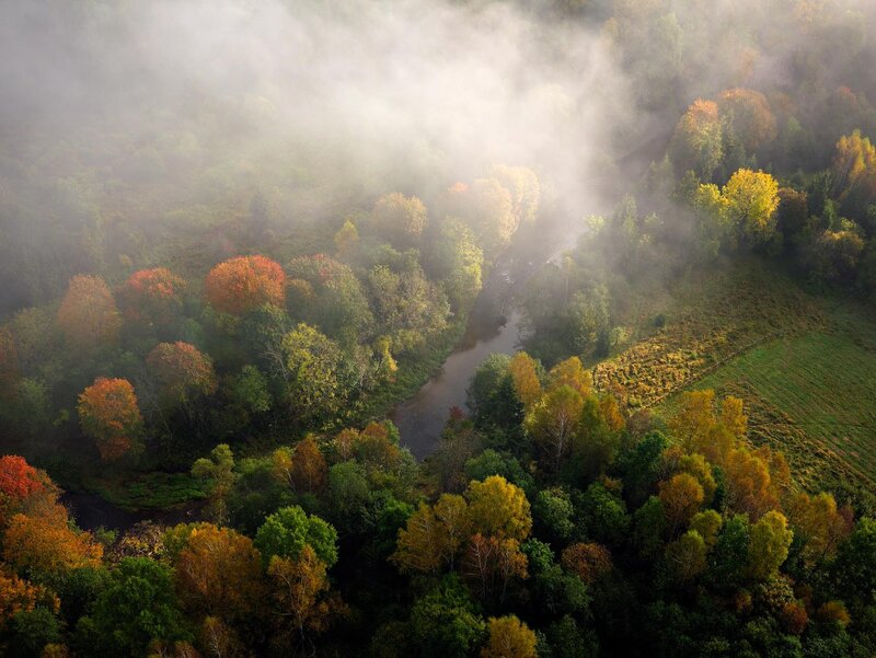 Autumn forest river mist