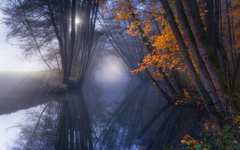 Autumn Forest River — Orange, Serene, Morning