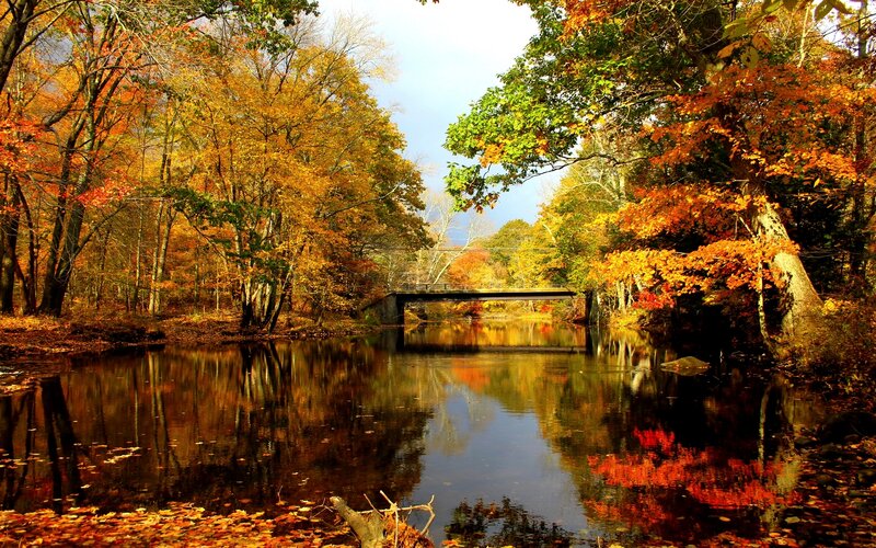 Autumn Forest River — Orange, Serene, Photograph