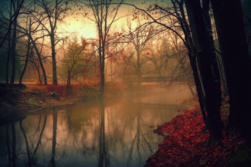 Autumn Forest River — Orange, Serene, Photograph, Trees, Bridge
