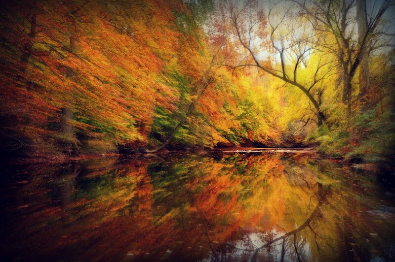 Autumn Forest River — Orange, Serene, Photograph, Trees, Reflection