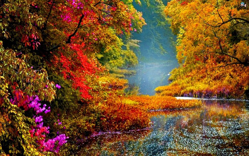 Autumn Forest River — Red, Serene, Photograph, Trees, Foliage