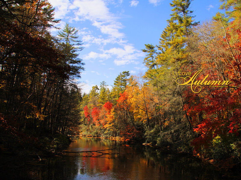 Autumn Forest River — Red, Serene, Photograph, Trees, Sky