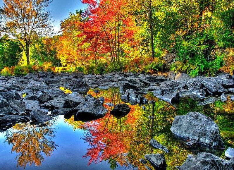 Autumn forest river reflection