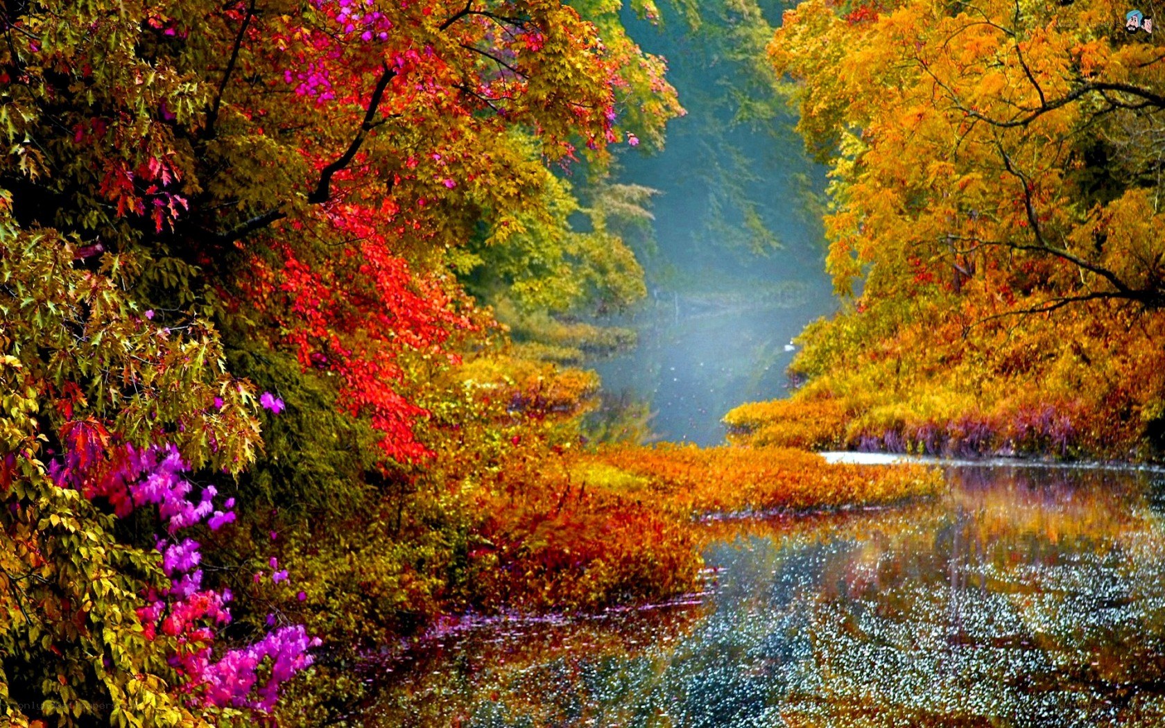 Autumn forest river scene