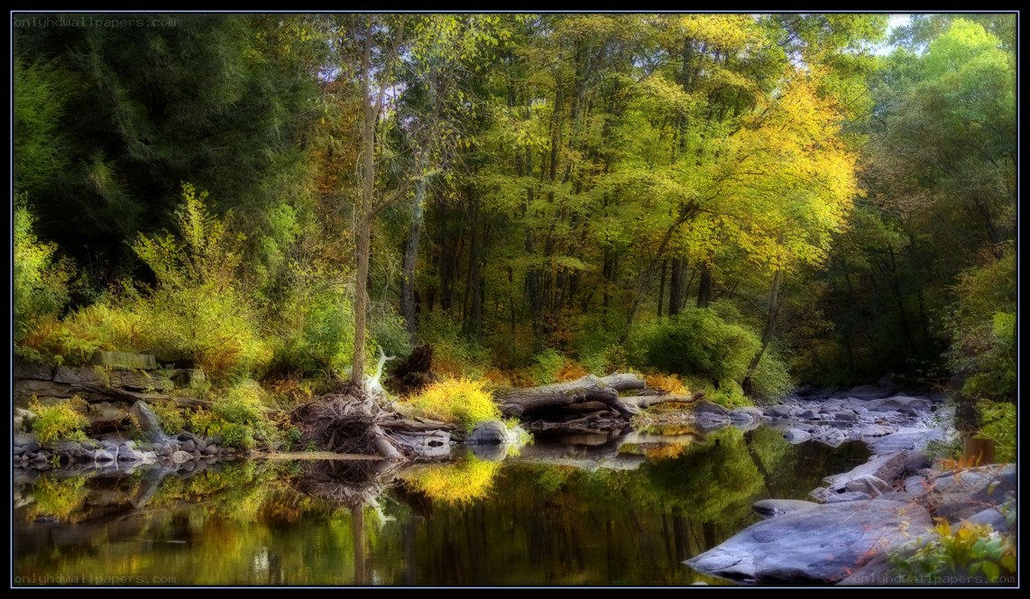 Autumn forest river scene