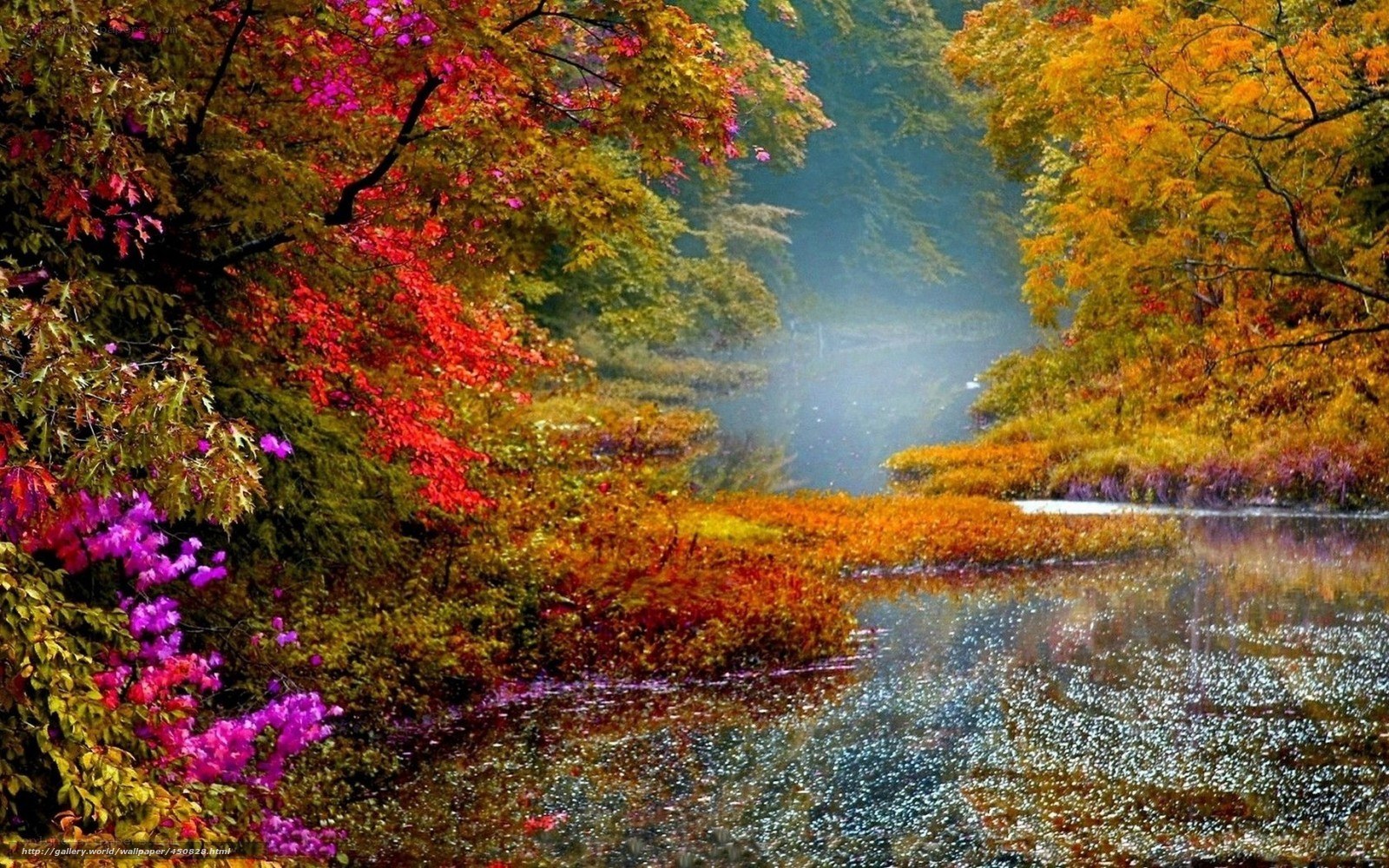 Autumn forest river scene
