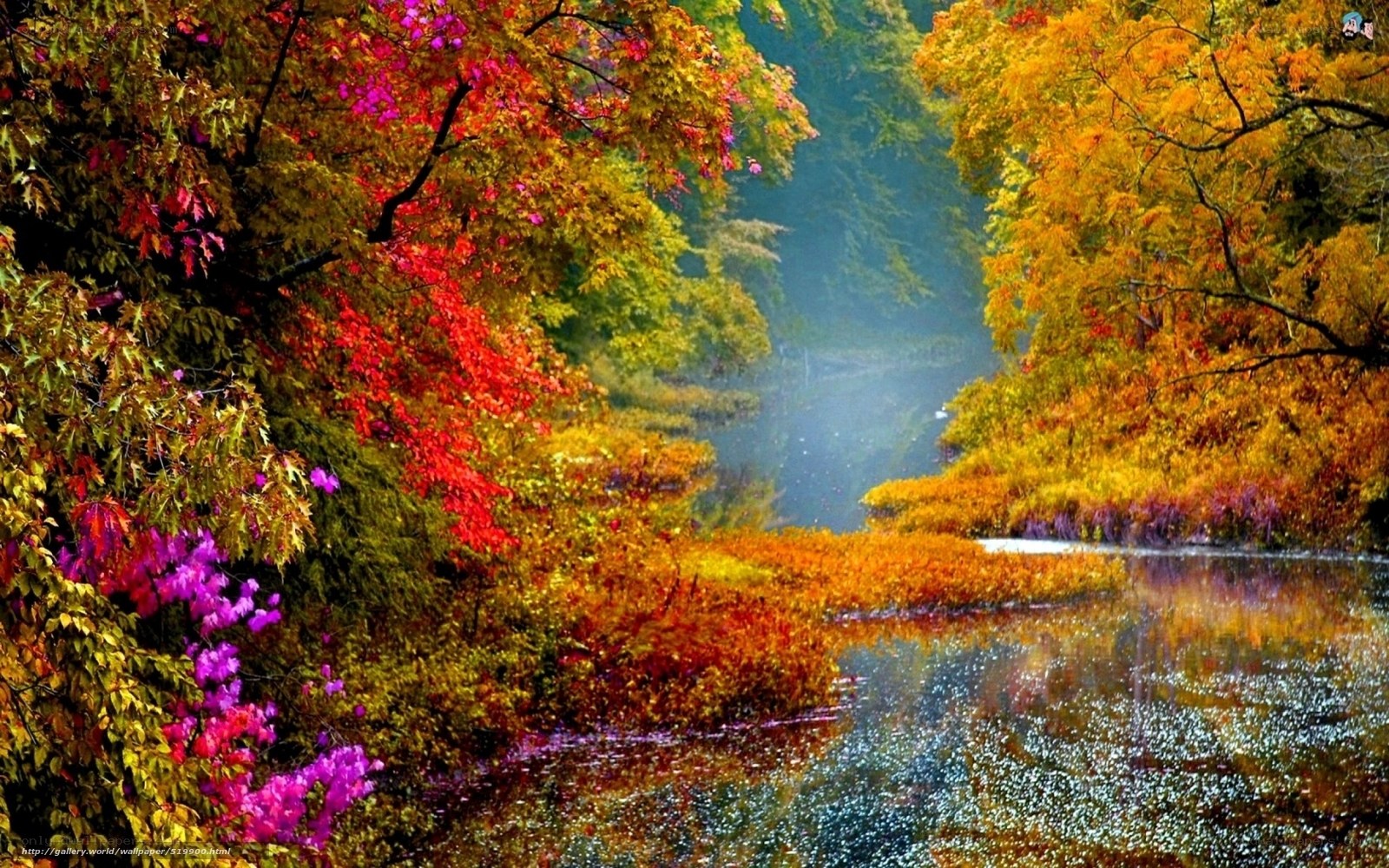 Autumn forest river scene