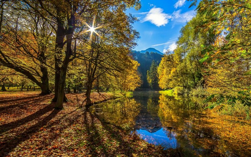 Autumn Forest River — Yellow, Serene, Photograph, Trees, Mountain