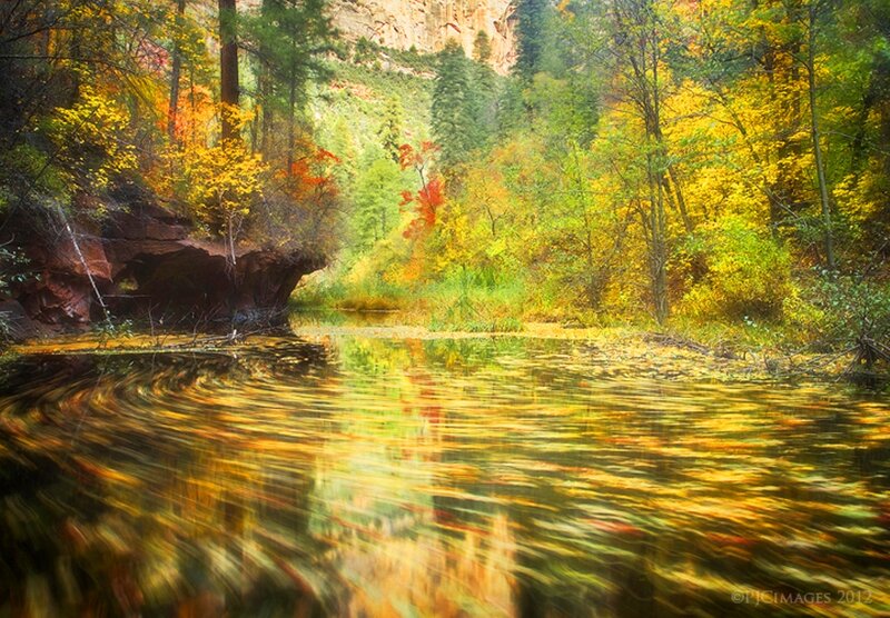 Autumn Forest River — Yellow, Serene, Photograph, Trees, Rocks