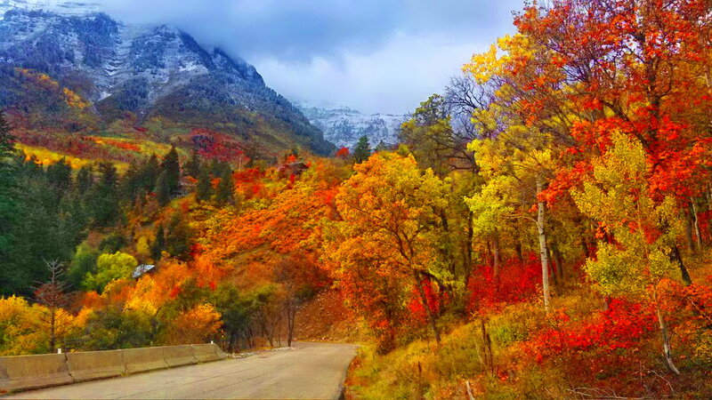 Autumn Forest Road — Red, Dramatic