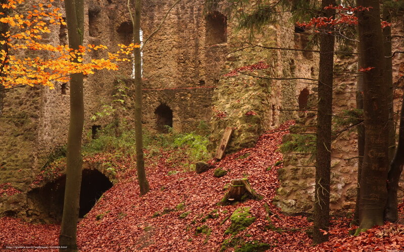 Autumn forest ruins