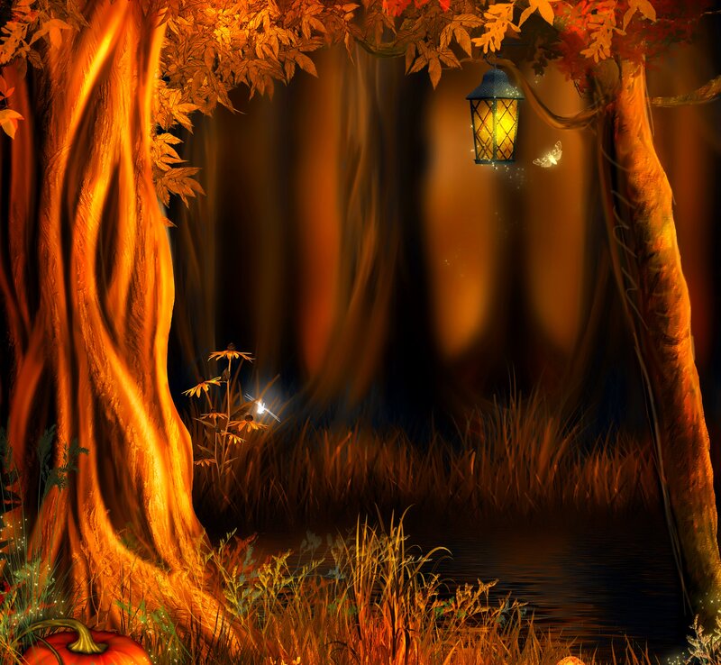 Autumn Forest Scene — Orange, Mysterious