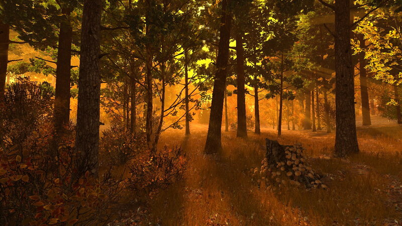 Autumn Forest Scene — Orange, Serene, 3d Render