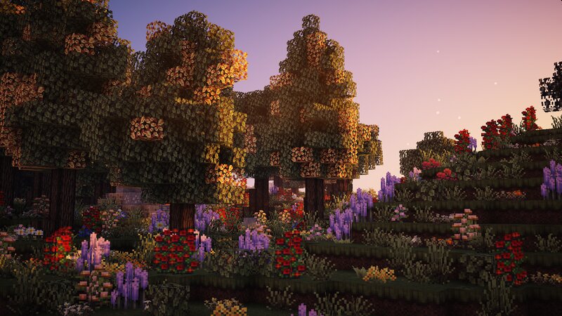 Autumn Forest Scene — Purple, Serene