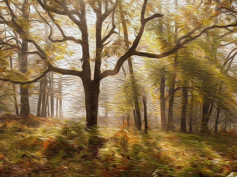 Autumn Forest Scene — Yellow, Serene, Digital Art