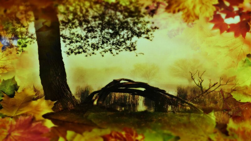 Autumn Forest Scene — Yellow, Serene, Digital Art, Tree