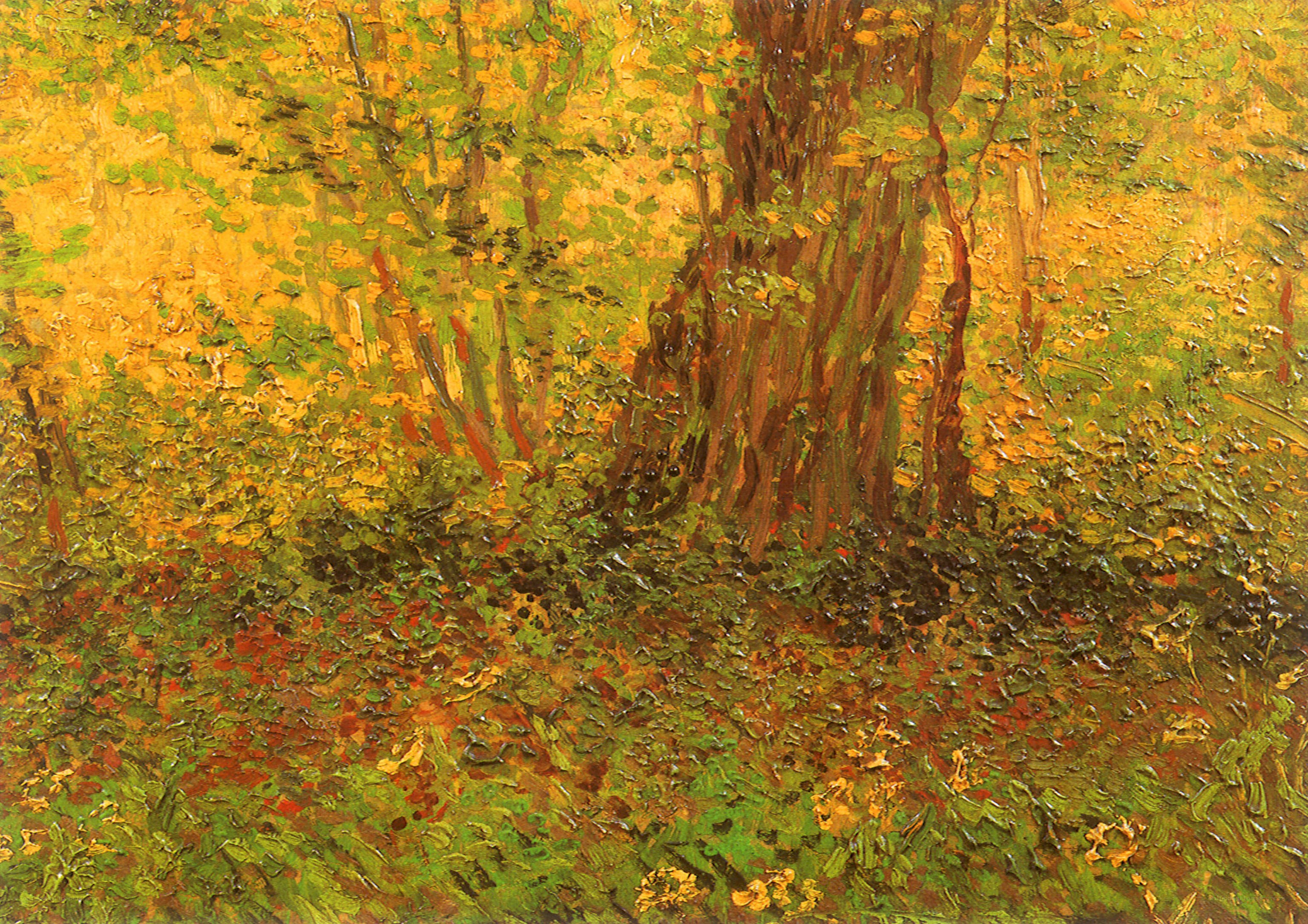 Autumn forest scene