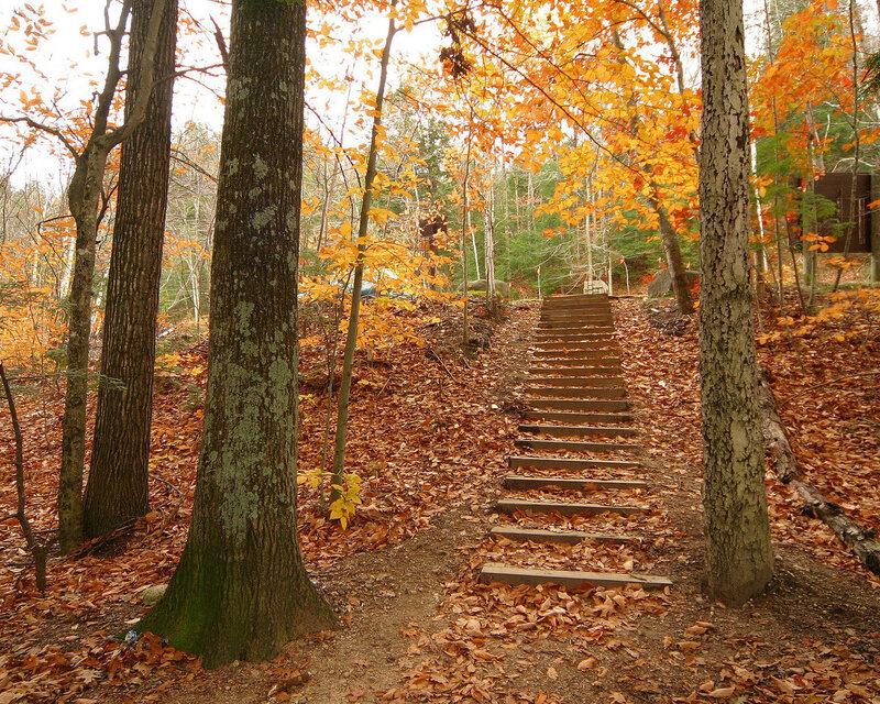 Autumn forest stairs