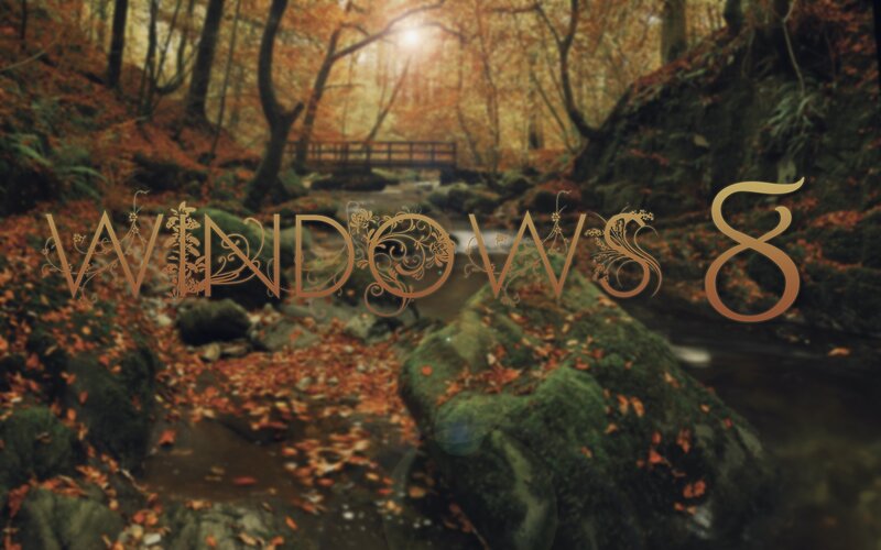 Autumn Forest Stream — Brown, Serene
