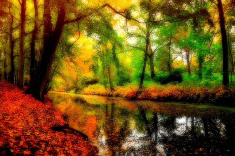 Autumn Forest Stream — Green, Serene, Digital Art, Trees