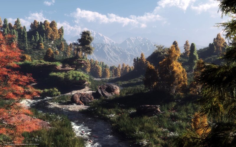 Autumn forest stream landscape
