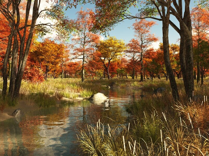 Autumn Forest Stream — Orange, Serene, Digital Art, Trees, River, Rocks