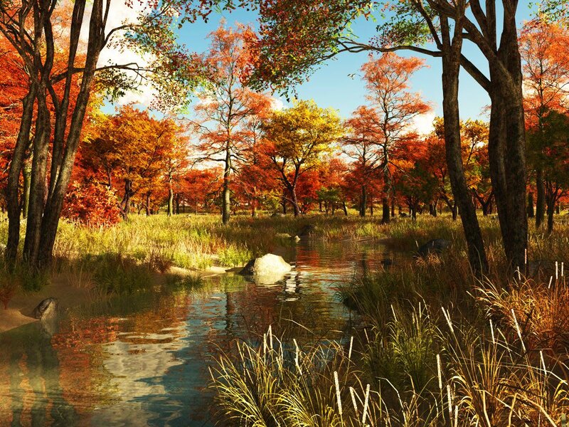 Autumn Forest Stream — Orange, Serene, Digital Art, Trees