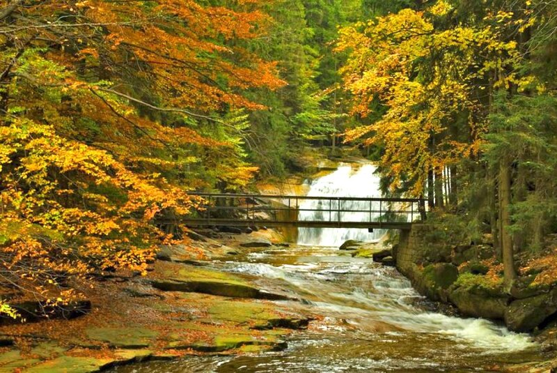 Autumn Forest Stream — Orange, Serene, Photograph, Bridge