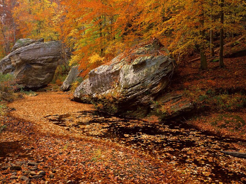 Autumn Forest Stream — Orange, Serene, Photograph, Rocks