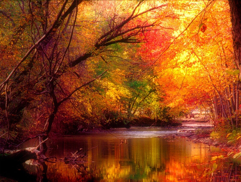Autumn Forest Stream — Orange, Serene, Photograph, Trees, River, Fall Foliage