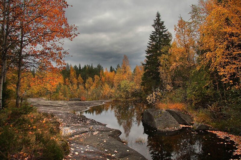 Autumn Forest Stream — Orange, Serene, Photograph, Trees, River, Rocks, Clouds